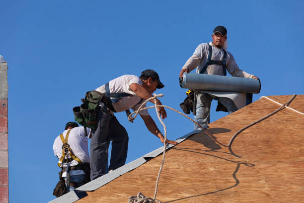 Best Roof Gutter Cleaning  in Ripley, OH