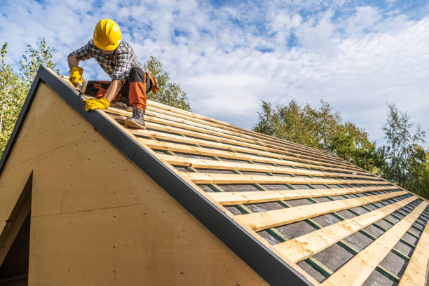 Roof Gutter Cleaning in Ripley, OH